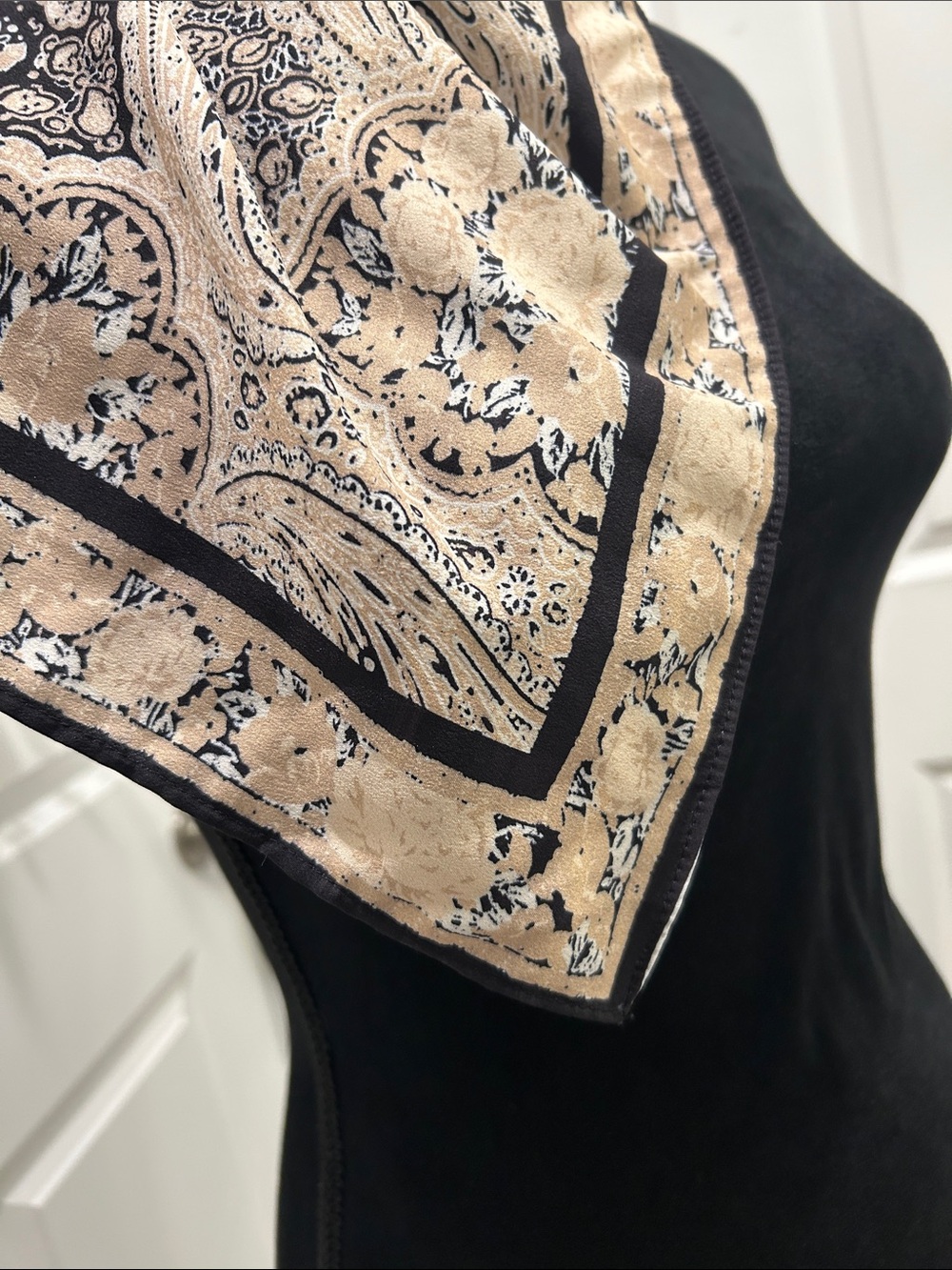 Beige Paisley Neck Scarf with Black Trim - Women Accessories OS - Picture 2 of 8